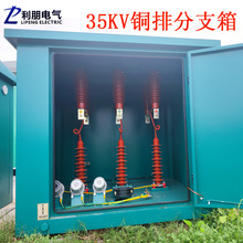 戶外高壓電纜分支箱帶隔離電纜分接箱一進二出35KV銅排電纜分支箱