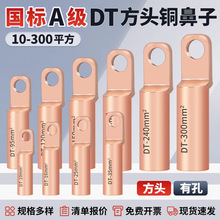 國標紫銅方頭銅鼻子線鼻子接線端子空開斷路器接頭DT10-300平方