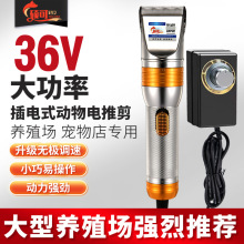 寵物電推剪羊毛電推子泰迪狗狗剃毛大型犬綿羊絨山羊剃毛神器