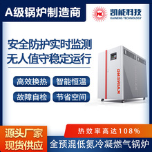 全預混低氮冷凝鍋爐 酒店學校供暖熱水鍋爐 商用鍋爐 凱能科技
