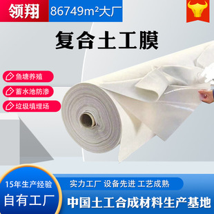 河道水利治理長絲復合土工膜兩布一膜蓄水池藕池防滲防水一布一膜