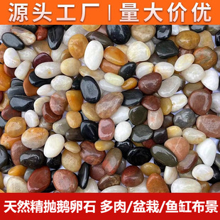 雨花石天然原石水草瑪瑙石頭魚缸造景花盆栽鋪面鵝卵石子水培裝飾