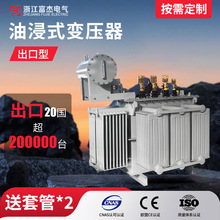 跨境定制出口型全銅三相油浸式變壓器浙江富傑電氣源頭工廠現貨