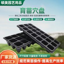 供應草莓盤育苗穴盤家庭陽台草莓育苗盆花圃苗圃21孔育苗深孔盤