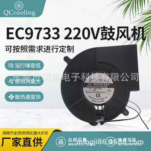 lEC 9733 100V-220V pLLoɢLC C t
