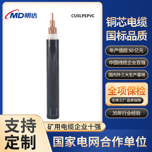 國標銅芯電纜交聯聚乙烯絕緣50/95平方低壓線纜阻燃單芯電力電纜