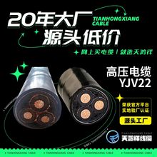 廠家供應橡膠軟護套電線 高壓銅芯電力電纜YJV22 3*70PVC絕緣材料