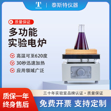 泰斯特廠家電子調溫實驗電爐單聯1KW