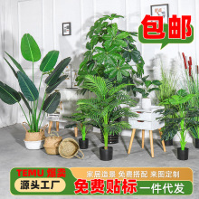 仿真樹綠植盆栽天堂鳥仿真植物 室內盆景發財假樹仿真旅人蕉盆栽