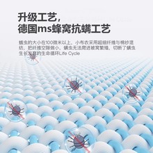 小布農家居記憶棉薄床墊軟墊家用榻榻米卧室租房宿舍學生單人床褥
