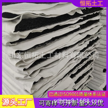 復合排水網墊土工席墊 垃圾填埋場尾礦庫隔離墊PFF復合反濾層