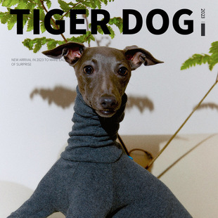 Tiger dogﶬ`Ȯݱرů_·