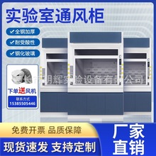 實驗室全鋼通風櫃PP通風櫥抽風櫃排風排氣落地通風櫃化驗通風廚櫃