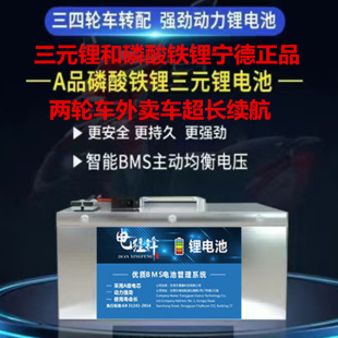 廠家直銷寧德正品二三四輪電動車磷酸鐵鋰三元鋰電池超大容量蓄能
