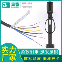 EVC H07BZ5-F 5*2.5+1*0.5歐標TUV新能源電車充電樁電纜生產廠家