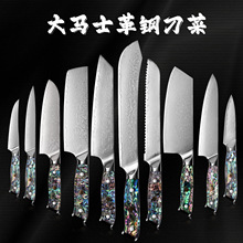 日式VG10大馬士革鋼刀廚房菜刀廚師刀套裝貝殼樹脂柄套刀家用
