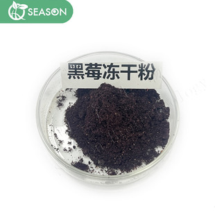黑莓凍干粉 黑莓提取物 黑莓果粉 冷凍干燥 現貨包郵