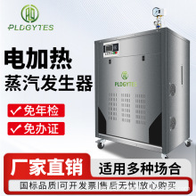 全自動電熱鍋爐6KW360KW消毒熨燙電加熱蒸汽發生器