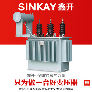 s11-250kva400kwǧ10kv380ͽʽ߉׃