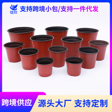 批發加厚PP雙色花盆營養杯營養缽育苗盆育苗杯一次性塑料雙色