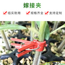 圓口方口大棚蔬菜嫁接育苗夾黃瓜番茄西瓜植物工具通用塑料小夾子