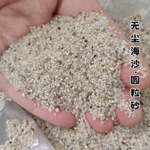 海沙批發人造沙灘兒童沙池無塵海沙水族花卉園藝庭院造景海沙