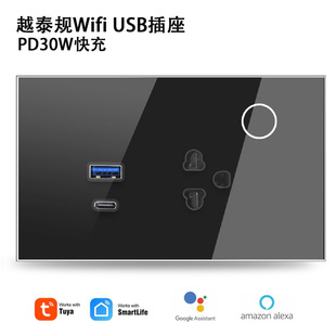 Խ̩ҎTfWifi USB16A PD30W֧֔ӛ䓻