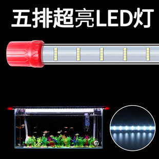 LED~ןˮײݸןСͷˮˮ\_h~