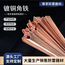 廠家直銷 銅包鋼角鋼 鍍銅角鐵 50*50*5*2500 光伏風電專用