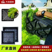 樓頂綠化種植盤容器方形花盆塑料加厚屋頂儲水種植盒佛甲草育苗盤