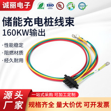 儲能充電樁線束160KW輸出端子公母對接延長線3pin4pin6pin