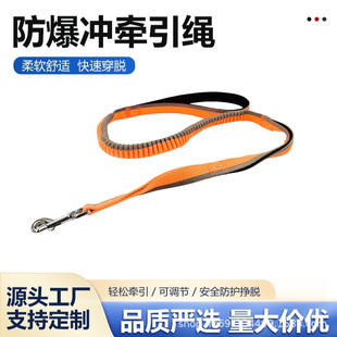 RdPet leash ͌K_ӖK