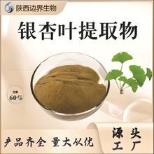 銀杏葉提取物銀杏黃酮24%內酯6%100g/袋食品級原料現貨
