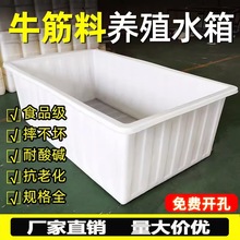 長方形大號水產養殖箱食品級牛筋箱厚款養魚賣魚牛筋淺盆塑料水箱