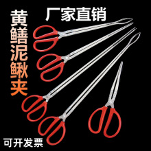 黃鱔夾子趕海加長龍蝦鉗黃鱔夾螃蟹泥鰍鉗子控魚器鱔魚夾漁具用品