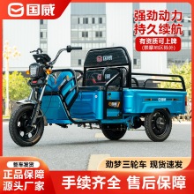 國威電動三輪車GW1800DZH 家用貨運車平板車 1.1米小型電瓶三輪車