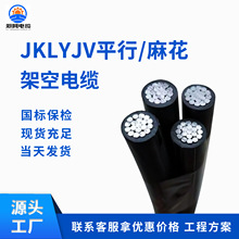 架空集束電纜 BS1-JKLYJ 2*10 16 25 4*16 25 35 50平行集束導線