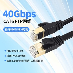 CAT6FTP· o~ƽWξf׸پWj