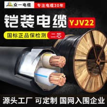 ZCYJV22銅芯低壓電線2芯*1.5/2.5/4/6/10/16/25/35平方 鎧裝電纜