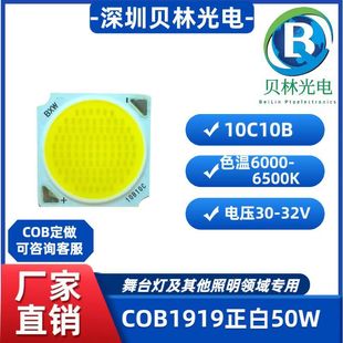 COB1919/50W/10C10B/6000-6500K/̨I