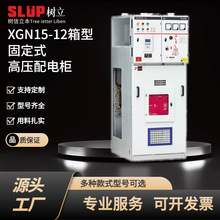 電氣XGN15-12高壓成套箱式開關設備配電櫃中置櫃SF6環網櫃新能源
