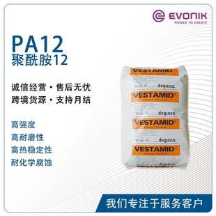 PA12 A VESTAMID E  E55-S3 ᷀Կ⾀ƣڻѩѥ