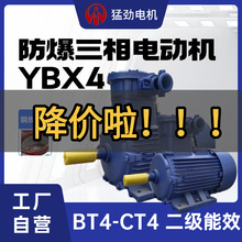 YBX4防爆電機380v三相異步電動機二級能效CT4/BT4隔爆節能電機