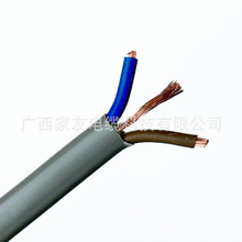 家友國標純銅芯BVVB電線電纜2 3芯跨境2C+E帶地線6242Y扁線帶地線