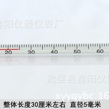 玻璃紅水溫度計 酒精溫度計 紅液溫度計 30CM 0-100℃