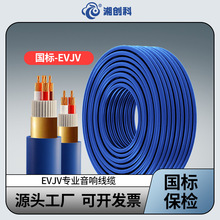 國標室內室外專業屏蔽工程音響線發燒級舞台音箱喇叭線EVJV2芯4芯