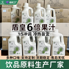盾皇6倍濃縮芒果汁飲料濃漿金桔檸檬汁蘋果汁百香果汁商用批發