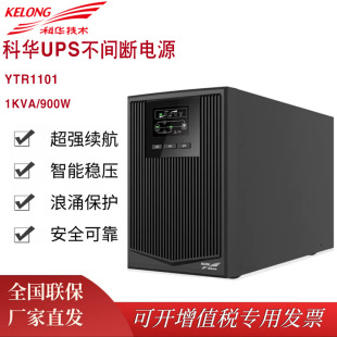 AUPSgԴYTR1101ھʽ1KVA/900WXԴ