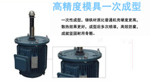 廣東佛山 全封閉自冷式低噪音冷卻塔電機馬達 三相異步電動機