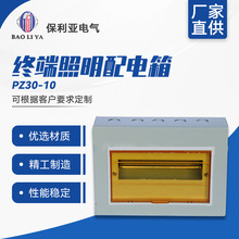大量現貨 回路箱PZ30-10# 明裝 終端照明配電箱塑底鐵板帶透明蓋